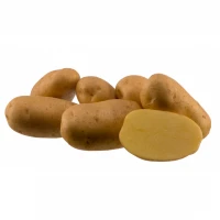 Zemiaky Agria 12,5kg