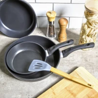 Panvica 22cm Al Magnat Induction