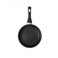 Panvica 22cm Al Magnat Induction