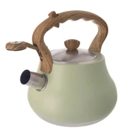 Čajník 3L nerez Greenish