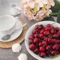 Nádoba na mlieko 0,1L porcelán Mona Nádoba na mlieko 0,1L porcelán Mona