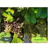 Hnojivo biostimulant ekofertile 1L