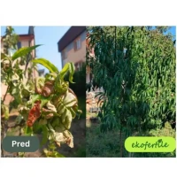 Hnojivo biostimulant ekofertile 1L