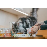 Krmivo mačky Brit Care Soup 75g Krmivo mačky Brit Care Soup 75g