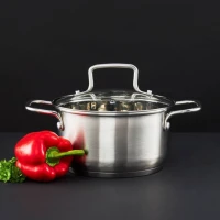 Hrniec nerez 2,5L/18cm s pokrievkou Hrniec nerez 2,5L/18cm s pokrievkou