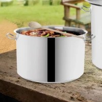 Rajnica nerez 30L Stock s pokrievkou 