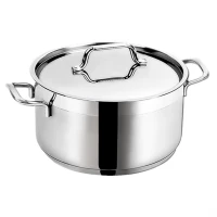 Rajnica ANETT nerez 9,5L s pokrievkou Rajnica ANETT nerez 9,5L s pokrievkou