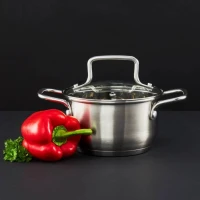 Hrniec nerez 1,9L/16cm s pokrievkou Hugo