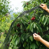 Sieť proti vtákom 8x5m 35g Skveler Sieť proti vtákom 8x5m 35g Skveler