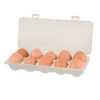 Box na vajíčka 10ks UH