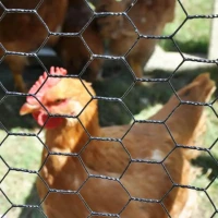 Pletivo chovateľské 6hr.PVC 100cm/20/0,9m/25m