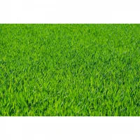 Hnojivo Plantella na trávu 15kg